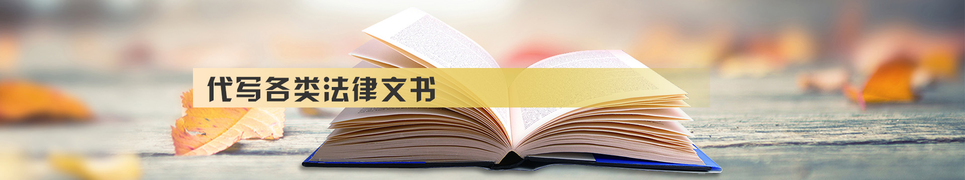 法律文书代写_起诉书代写 起诉状 律师函